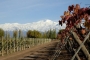 Wines high range from Mendoza Argentina