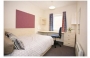 > >  Centr.London,Perfect Ensuite Room in New private student hall, Bills& Internet incl (£158 pw)