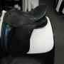 Used Schleese Connexion Dressage Saddle 17