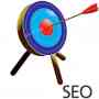 Boost website ranking with the help of seoin.in