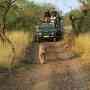 Cheery experience of Jeep Safari in Ranthambore