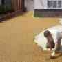 Resin Bonded Driveways is good for your  home.