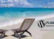 Hire Experienced Wordpress Plugin Developer India