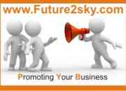 Franchisee Offered By Future To Sky  info Services