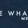 Blue Whale Media - SEO service in Manchester