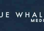 Blue Whale Media - SEO service in Manchester