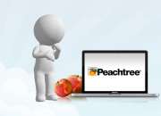 Peachtree Hosting services