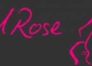 Ragged Rose – Fashion-Forward Products across Different Range of Styles and Price Points