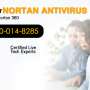Norton antivirus 800-014-8285 || Norton contact number