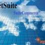 Run your business better with NetSuite Ecommerce software