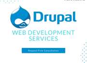 Get Professional Drupal Website Development Services