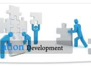 Why Custom Software Development Is The Best For Businesses?