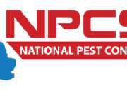 Rat Pest Control in London - NPCS