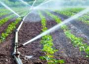 Best drip irrigation company in India | Ecoflow