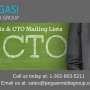CTO Email Lists & Mailing Lists & Email Database in UK/USA/GERMANY